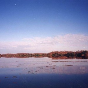 Zambezi river (Olive Beadle area)