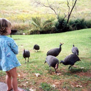 Emma feeding the guinea fowls, she loved sharing her food with the 'guinea flowers'.